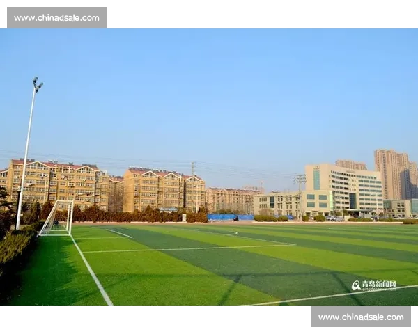 打造城市足球体育加盟新蓝海共赢未来发展新机遇创业投资合作平台